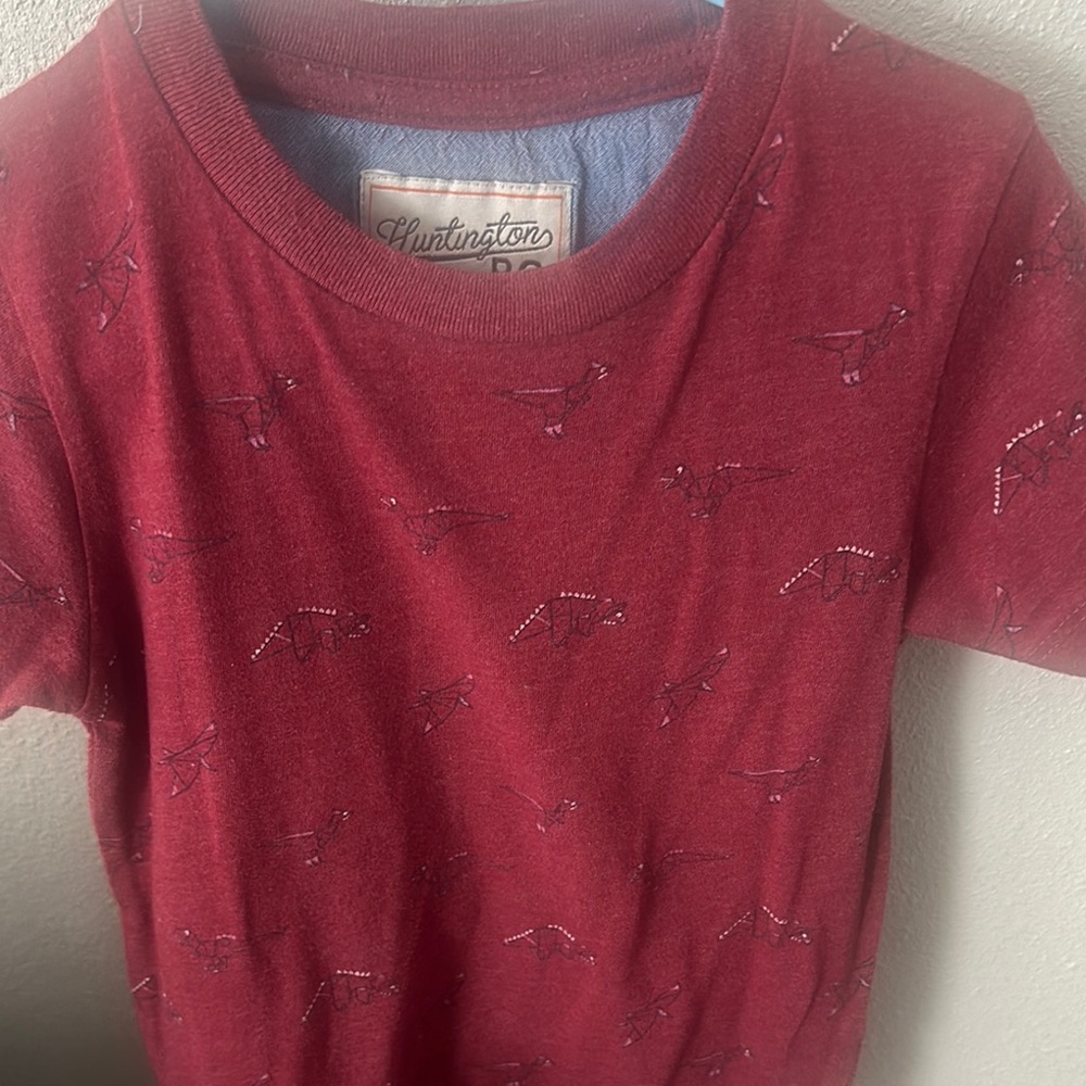 Kids Red Graphic T-Shirt